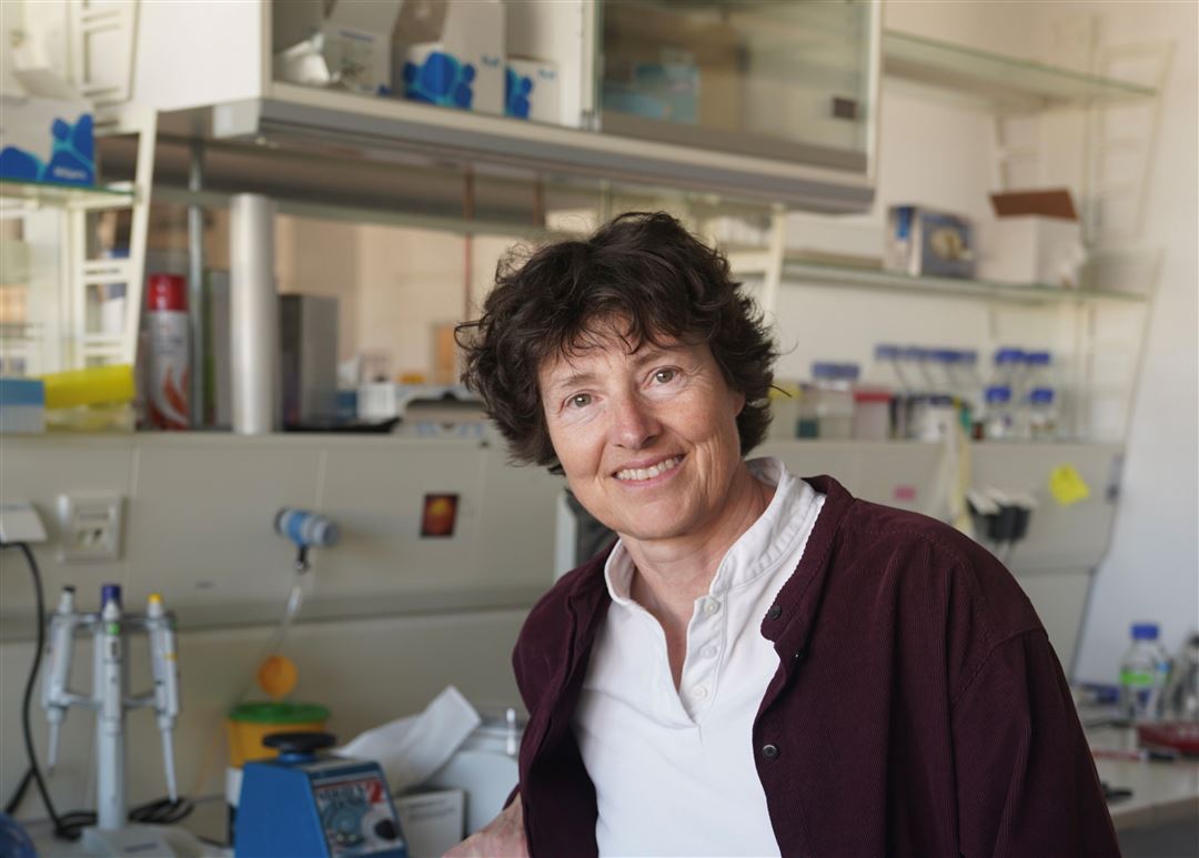 Portrait von Prof. Dr. Petra Schwille