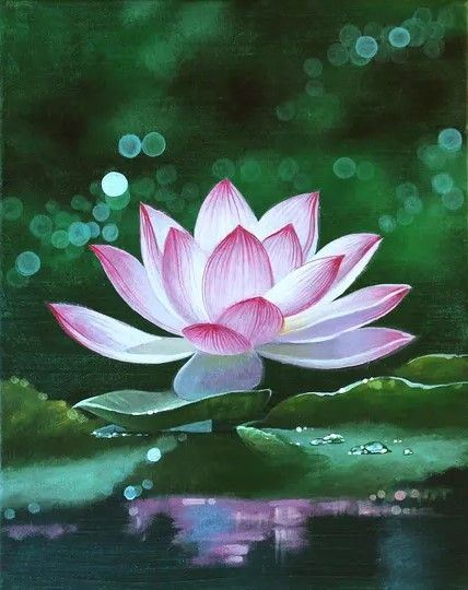 Motiv: Seerose im Licht